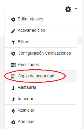 Seleccionar la opción copia de seguridad